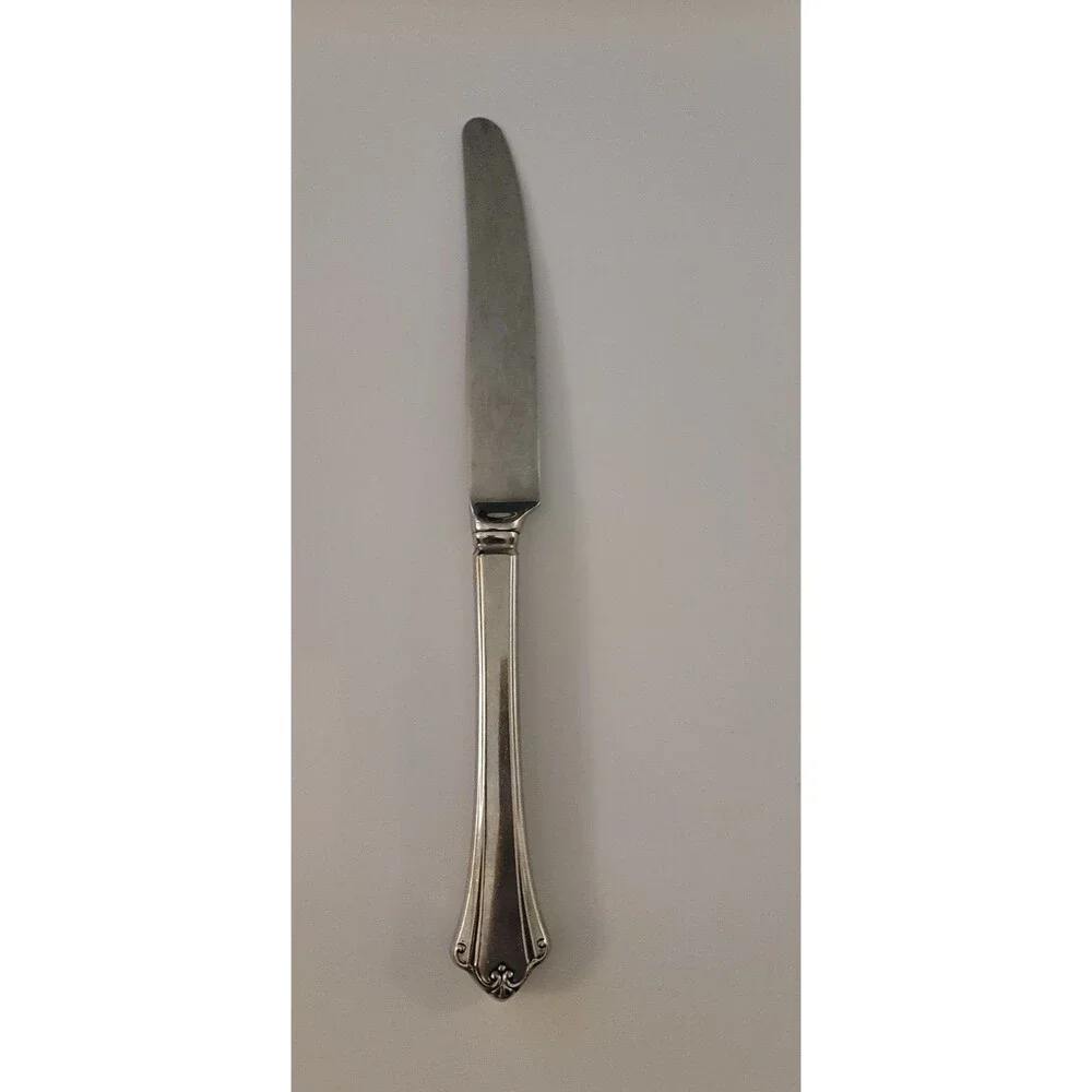 Oneida Anticipation Deluxe Stainless Glossy French Hollow Dinner Knife